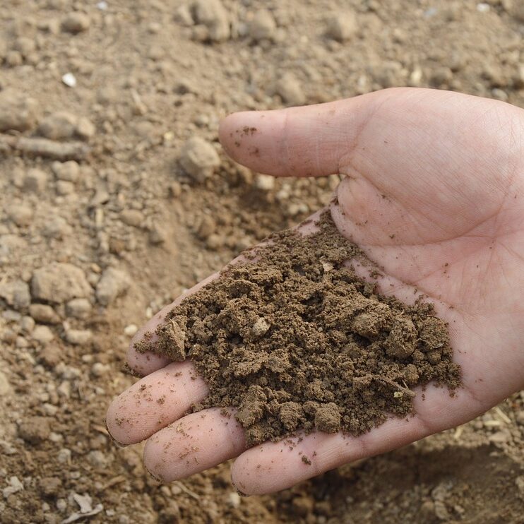 soil, hand, farm-766281.jpg